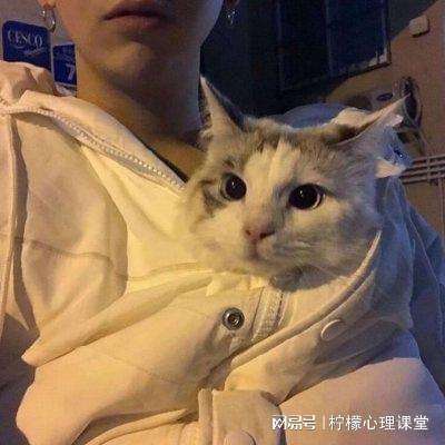 前线坦克手游下载