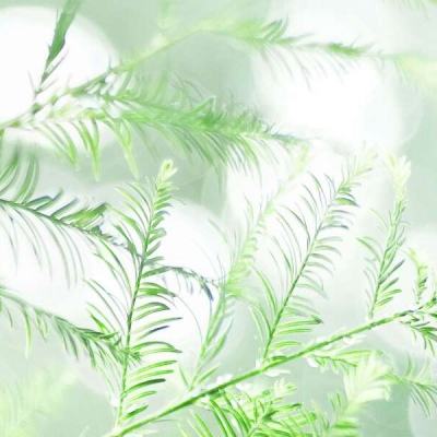 [新浪彩票]足彩25109期盈亏指数：米堡重点防平