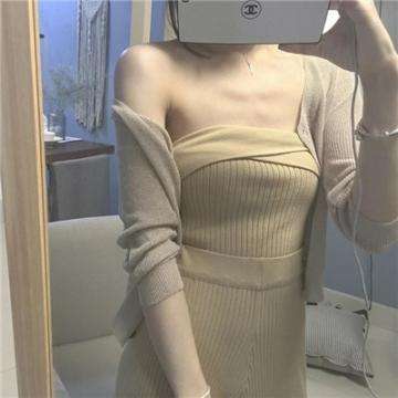 果盘口袋萌兽手游下载